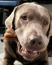 Kauwbot paardenhuid/kamala