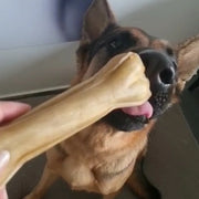 Kauwbot 100% Hertenhuid L