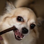 100% Vleessticks Hert